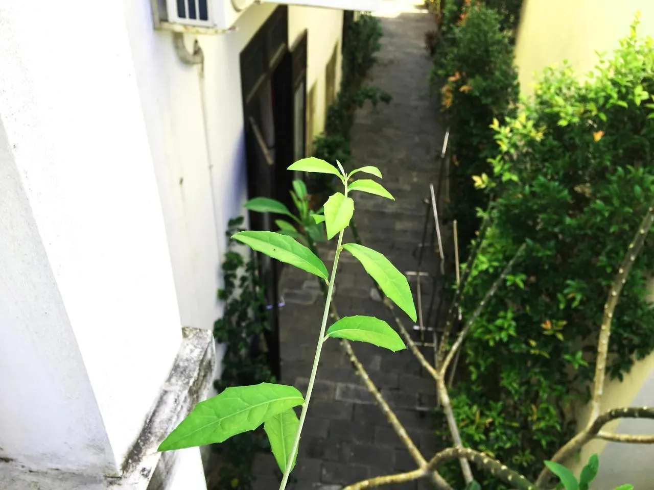 **  호이안 Friendlee House B&B 베트남